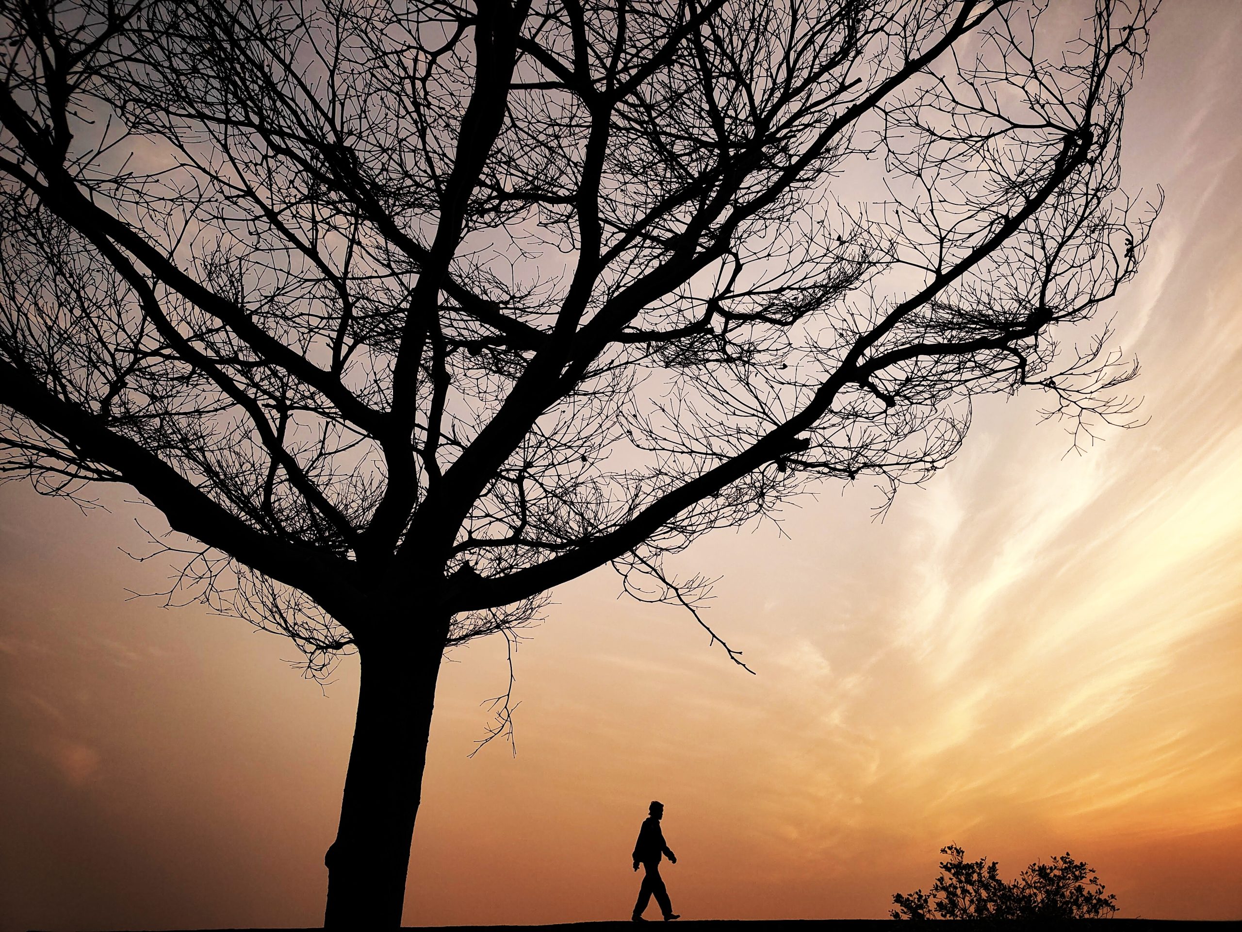 IMG20230831055727-01